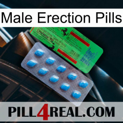 Male Erection Pills new03